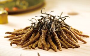 Đông trùng hạ thảo Hàn Quốc: Công dụng và cách dùng