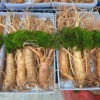 Sâm tươi Hàn Quốc thượng hạng loại 8 củ/kg